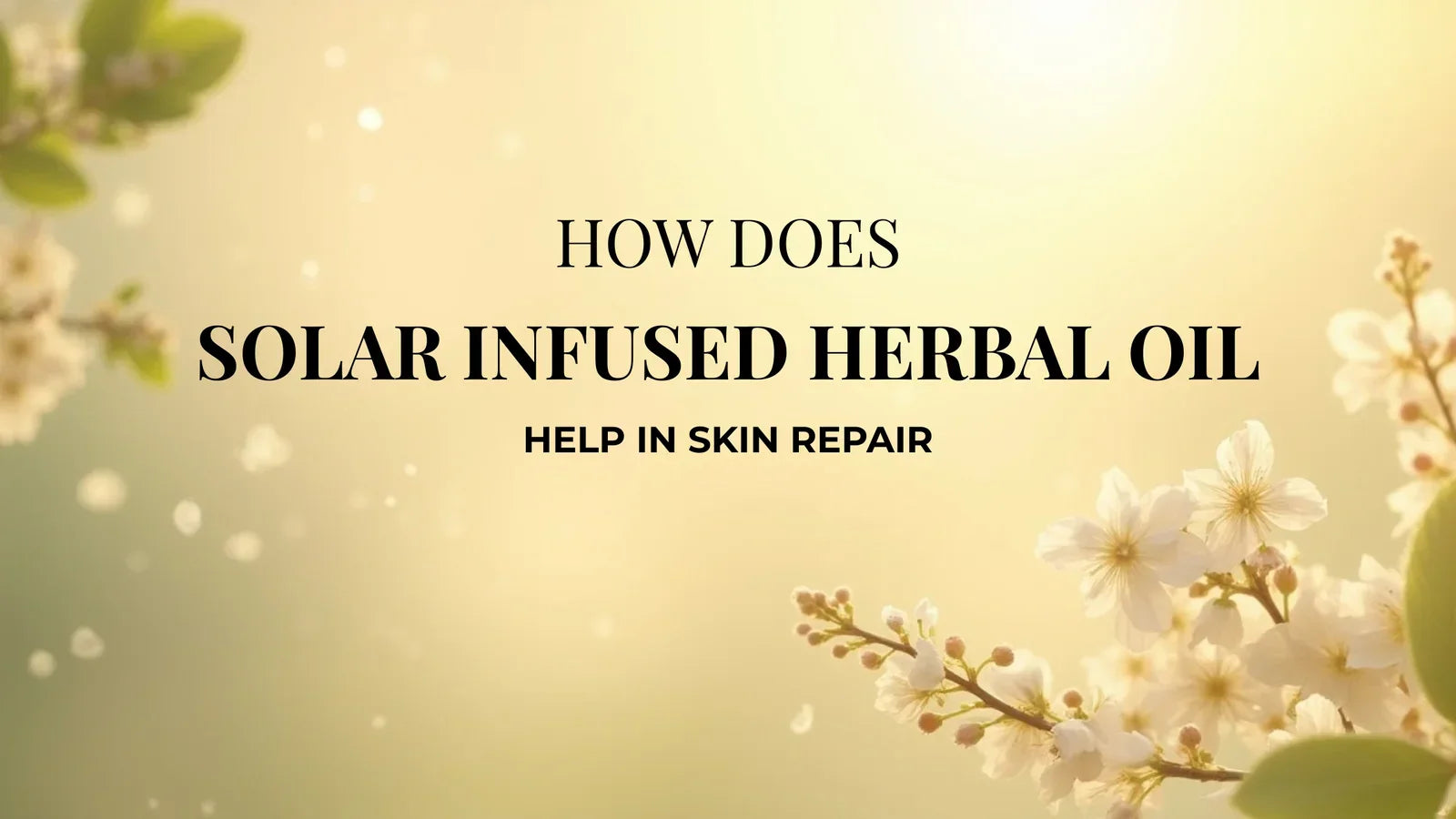 Repair Skin Overnight with Solar-Infused Herbal Oils